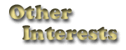 Untitled-1.GIFother u.gif (5449 bytes)