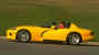 Viper1.jpg (19183 bytes)