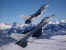 f16falcon22.jpg (83750 bytes)